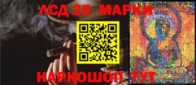 сатива Аргун