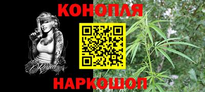 сатива Аргун