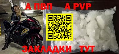 сатива Аргун