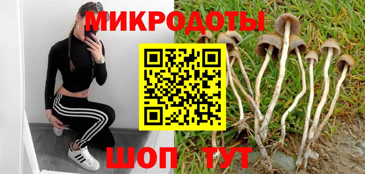 Галлюциногенные грибы мицелий  Вход с VPN  Бор 